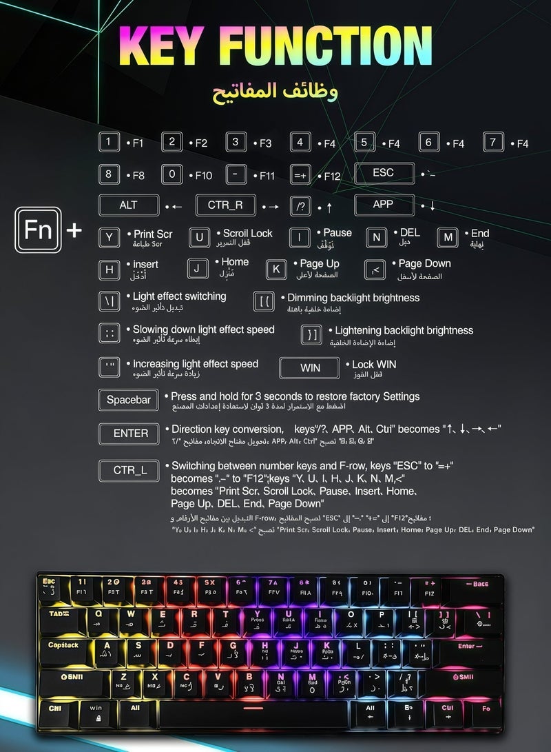 AOR Esports Keyboard, gaming keyboard, blue axis, Arabic keycap, Arabic keyboard, Type-C interface, 61 compact key design, black wired keyboard - Image 4